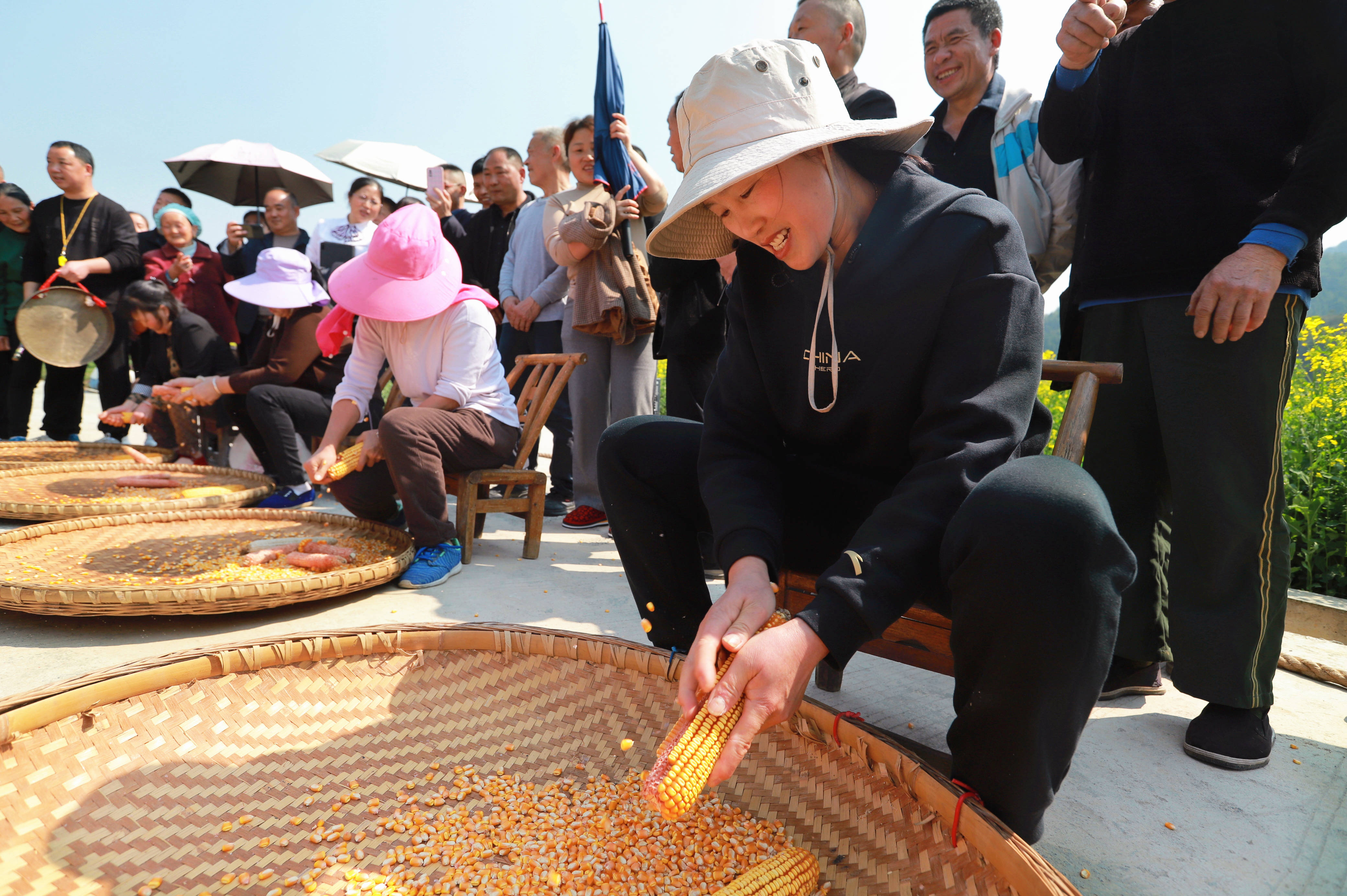 关于丰收季节乡村运动会，体会乡土文化的独特魅力的信息