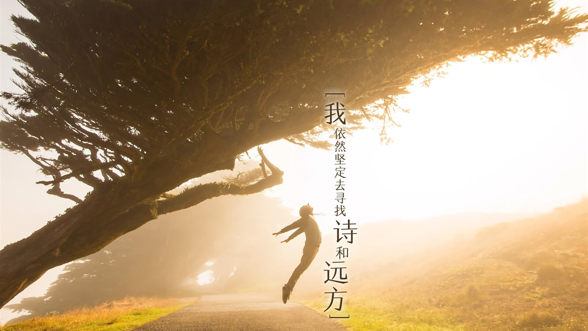 比赛中球队展现出团结互助的精神，球队团结的重要性