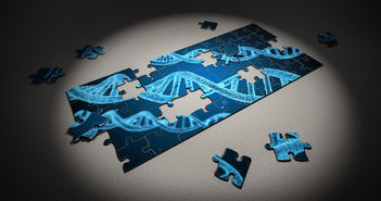 篮球专项体能训练恢复技术科学研究及应用,篮球体力恢复训练